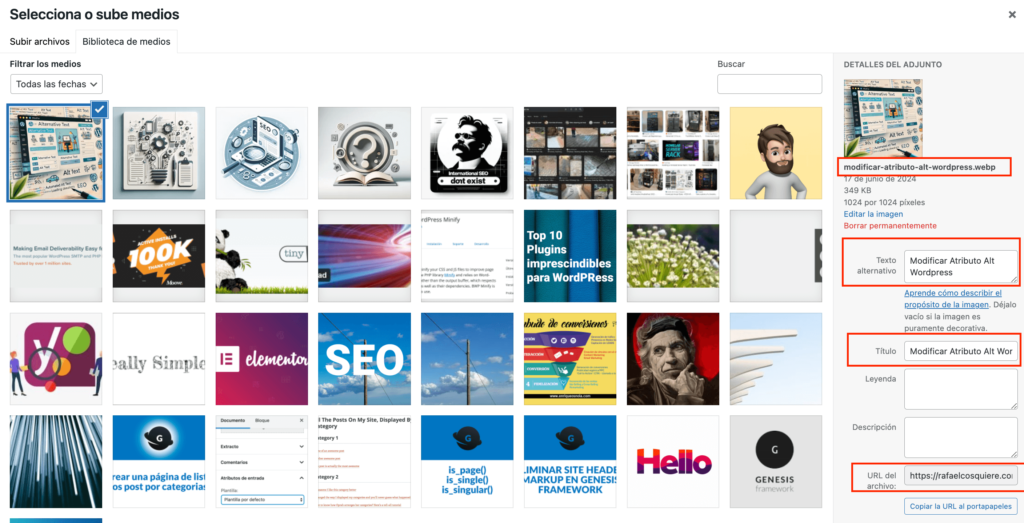 Como Modificar Atributo Alt WordPress